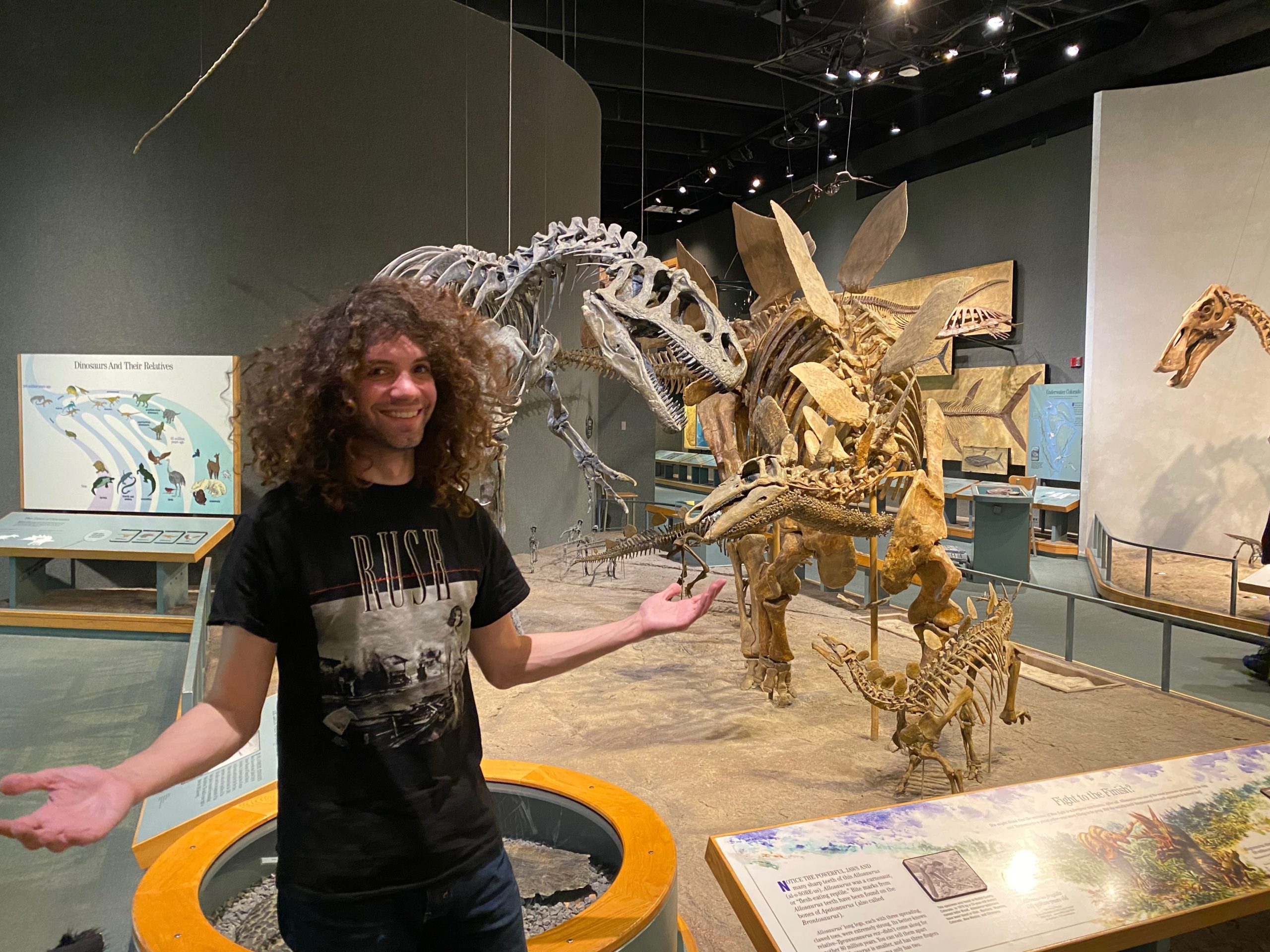 Dan Avidan Stegosaurus - New York, NY 1