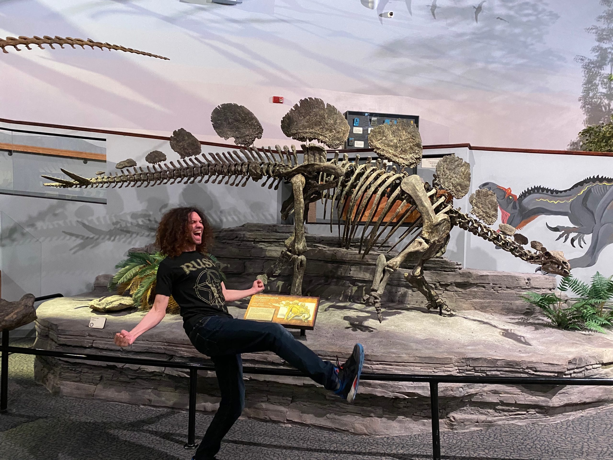 Hesperosaurus - Lehi, UT 1 Dan Avidan Stegosaurus - New York, NY 1