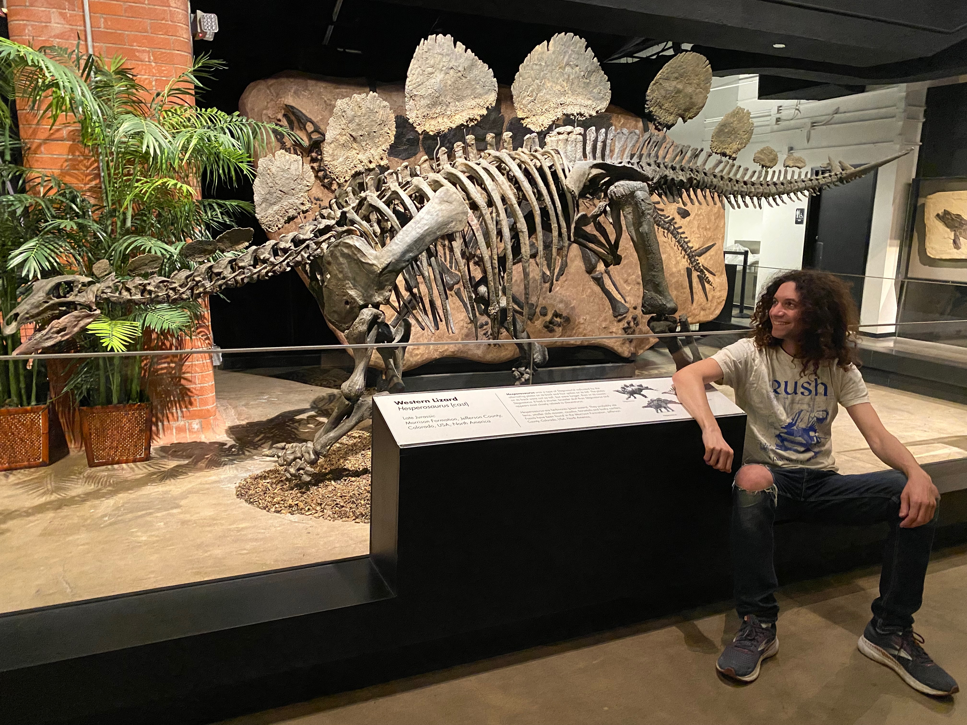 Houston, TX -  Houston Museum of Natural Science & HMNS at Sugar Land  