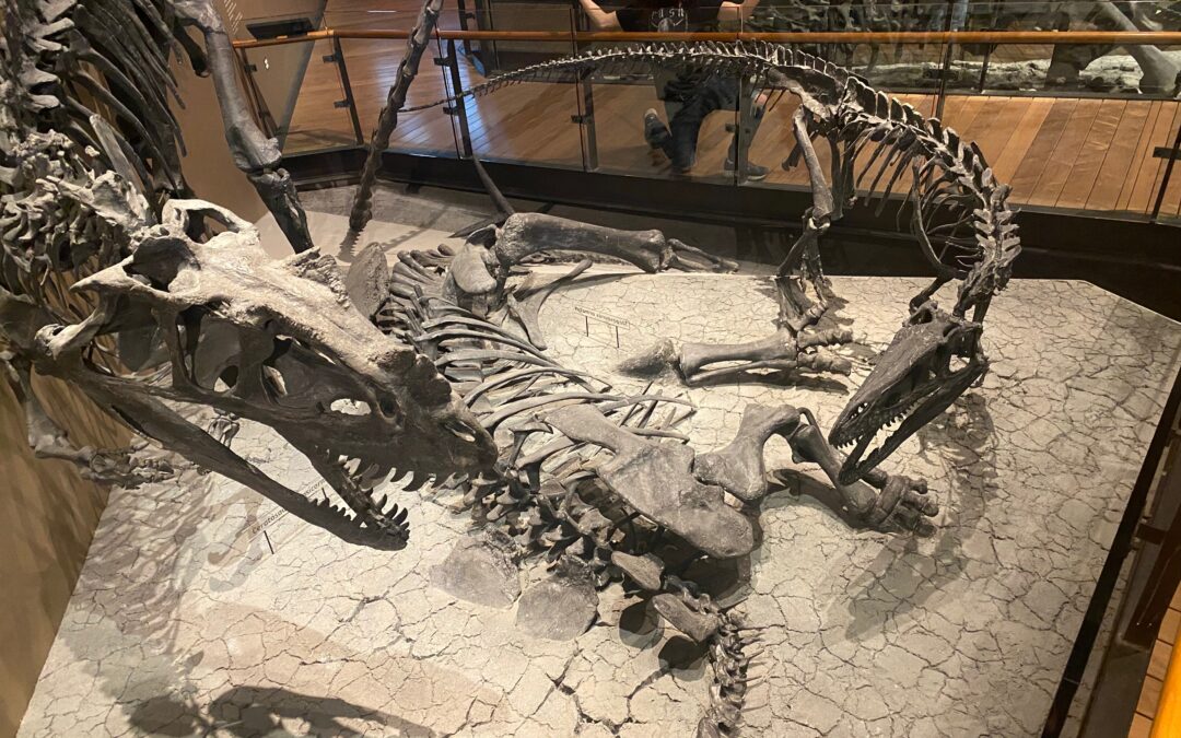 Salt Lake City, UT – Utah Museum of Natural History  